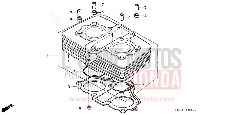 ZYLINDER von CB1300 Super Bold'or ABS LUMINOUS RED (R123) von 1982
